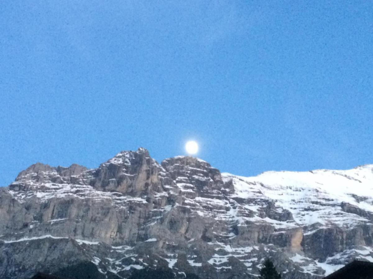 Luxury, New - Amazing Views Grindelwald Eiger Jungfrau Moench Lägenhet Exteriör bild