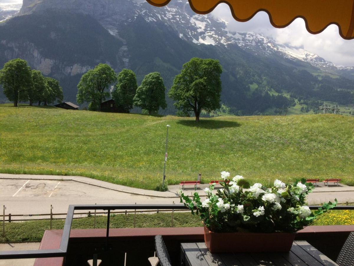 Luxury, New - Amazing Views Grindelwald Eiger Jungfrau Moench Lägenhet Exteriör bild