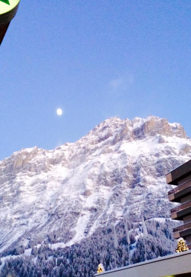 Luxury, New - Amazing Views Grindelwald Eiger Jungfrau Moench Lägenhet Exteriör bild