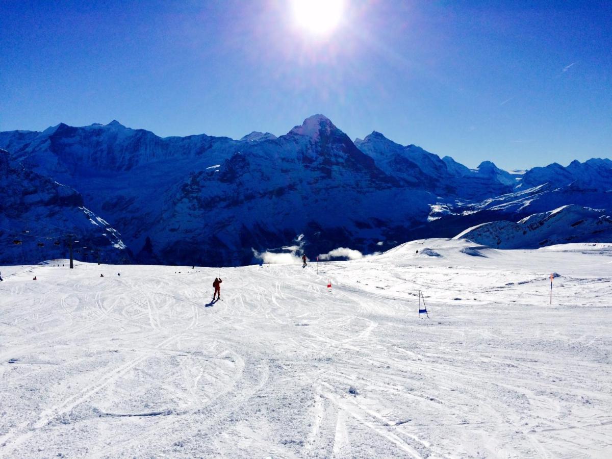 Luxury, New - Amazing Views Grindelwald Eiger Jungfrau Moench Lägenhet Exteriör bild
