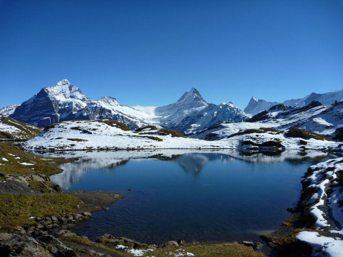 Luxury, New - Amazing Views Grindelwald Eiger Jungfrau Moench Lägenhet Exteriör bild