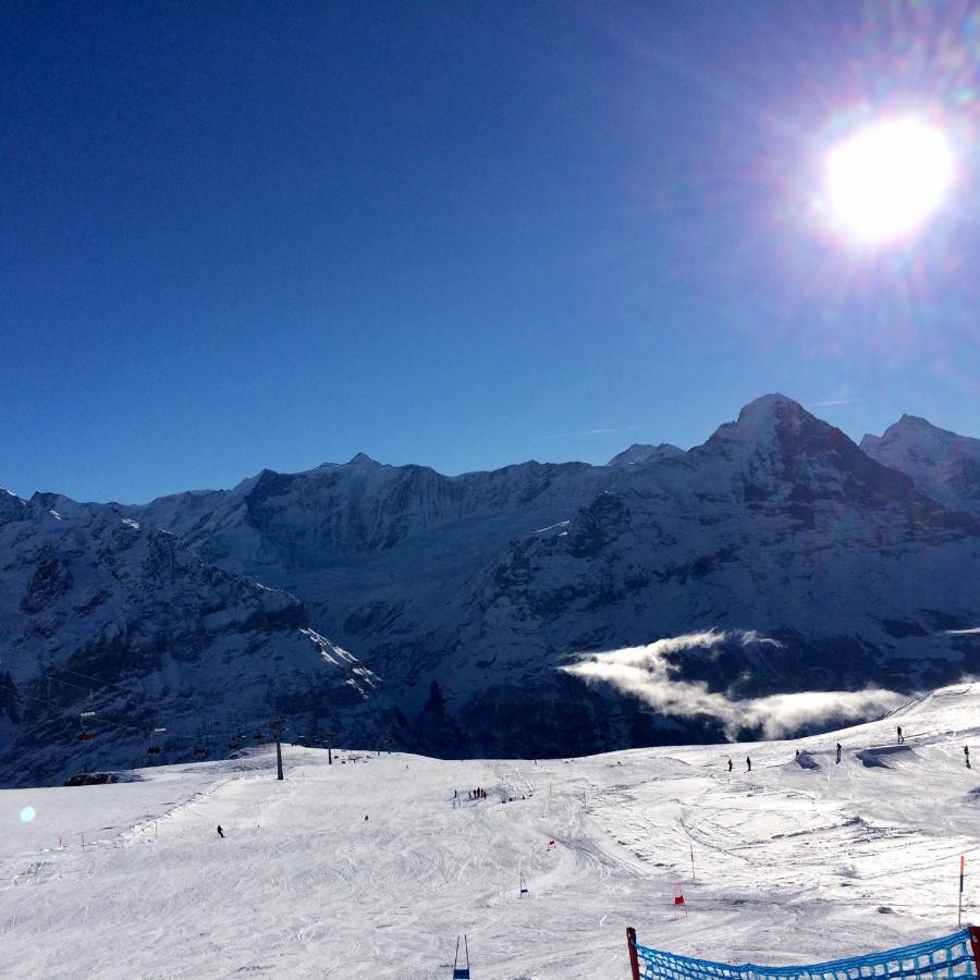 Luxury, New - Amazing Views Grindelwald Eiger Jungfrau Moench Lägenhet Exteriör bild